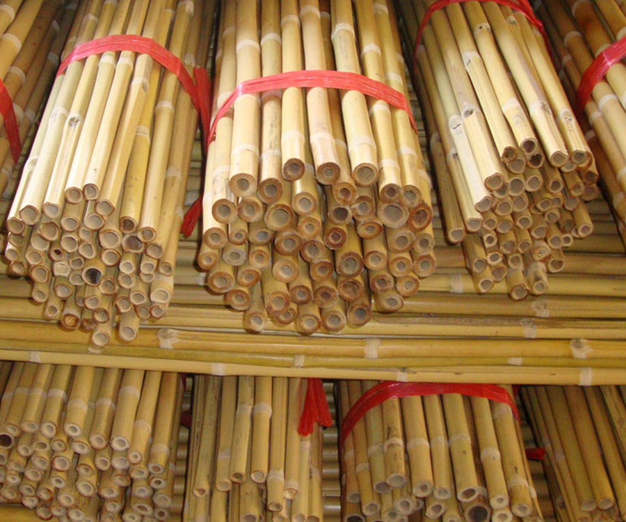 Bambu Çubukları